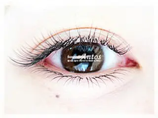 マツエク・マツパ まつげ&眉の専門店 アントススタッフの眉毛・アイブロウイメージ