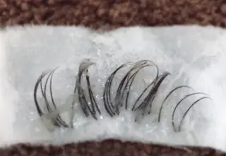 マツエク・マツパ プティリボン🎀 武蔵小金井店のマツエク・マツパデザイン