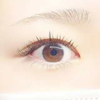 マツエク・マツパ WHITE LASH岡山イオン前店所属・WHITE LASH 🤍SAWA🤍の眉毛・アイブロウイメージ