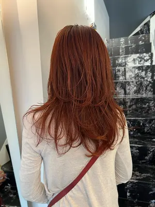 セミロング カラー ハイトーン/デザイン /ひさやのヘアスタイル