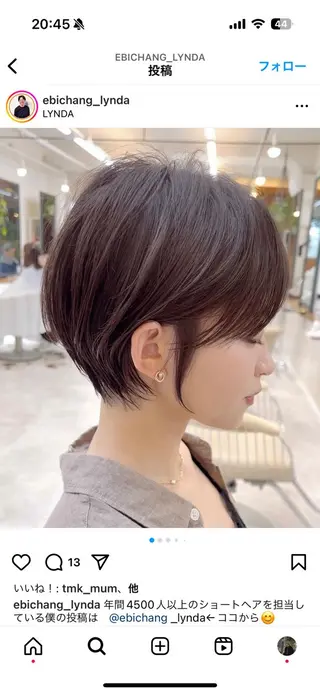 ショート レイヤーボブ/ 艶カラー/サナ🌼のヘアスタイル