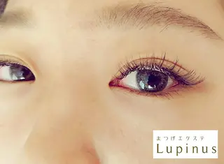 ネイル マツエク・マツパ Lupinus 国立店のマツエク・マツパデザイン