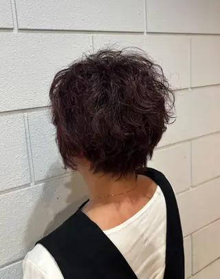 ショート カラー 平野 礼のヘアスタイル