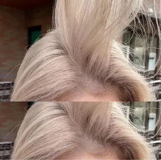 カラー 断髪刈舞所属・フェード・メッシュ ハイトーン/fumaのヘアスタイル