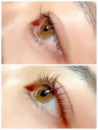 マツエク・マツパ PRIMO🐈🌱 マツパ/黒ティントのマツエク・マツパデザイン