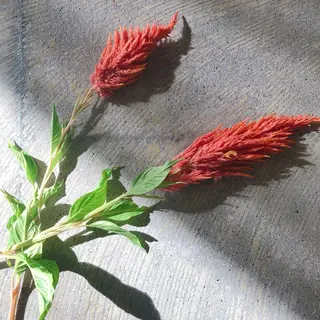 永田 崇のヘアスタイル