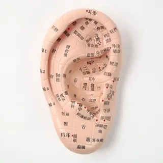 【快眠・視界クリア】 耳から整う心身メンテのエステ・リラクイメージ