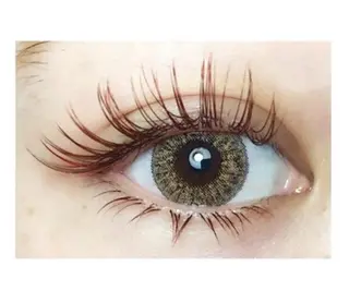 マツエク・マツパ merry eyelashのマツエク・マツパデザイン