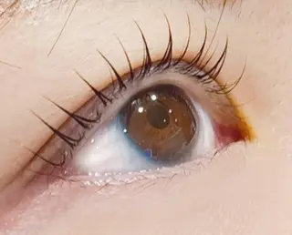 マツエク・マツパ SEED&Beauty代官山所属・ABE 祐天寺アイラッシュのマツエク・マツパデザイン