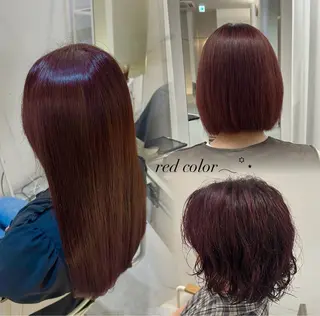 カラー ハイトーン/艶髪/ 暗髪/韓国/sanaのヘアスタイル