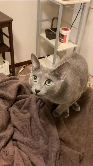 ショート カラー パーマ ヘアアレンジ メンズ キッズ ネイル マツエク・マツパ アニメ,Vオタク× 即効痩せエステサロンのエステ・リラクイメージ