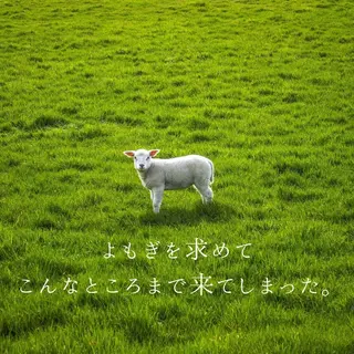 ミディアム カラー パーマ ヘアアレンジ メンズ キッズ ネイル マツエク・マツパ アイブロウ ニキビ・肌質改善専門 ♡人生が変わるサロンのエステ・リラクイメージ