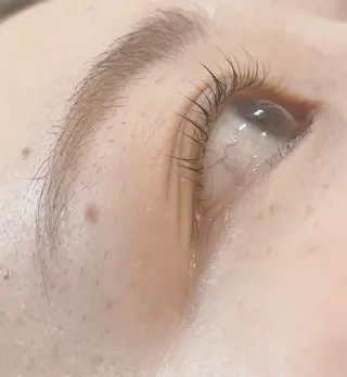 マツエク・マツパ Lokelani HAYASHIのマツエク・マツパデザイン