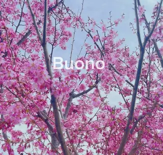 ネイル ネイルモデルさん募集 /代々木駅5分のネイルデザイン