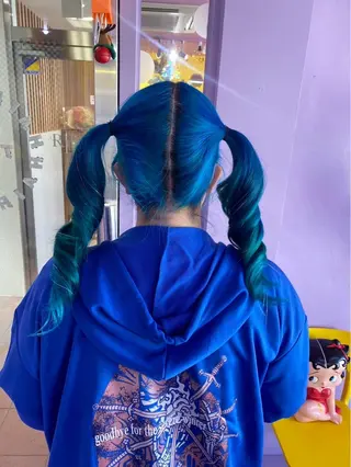 ヘアアレンジ TOY🐈‍⬛🎀 派手髪/地雷系のヘアスタイル