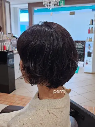 ショート パーマ ナチュラル暖色カラー 🤎 佐藤栞のヘアスタイル