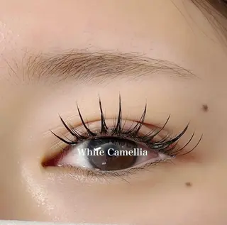 マツエク・マツパ 韓国風束感まつ毛 🫧Akaneの眉毛・アイブロウイメージ