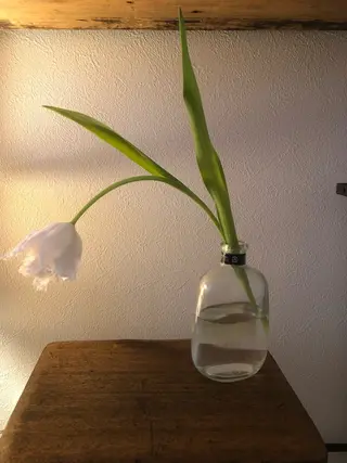 basico  のエステ・リラクイメージ