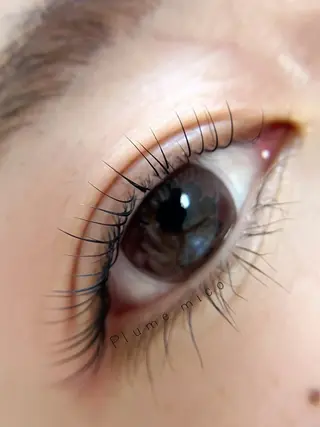 マツエク・マツパ Plume micoのマツエク・マツパデザイン