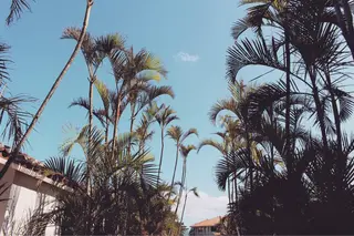 𝐘𝐎𝐒𝐇𝐈 𝐌𝐈🌞🏝のマツエク・マツパデザイン