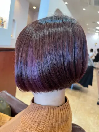 ショート カラー 加藤 絵美のヘアスタイル