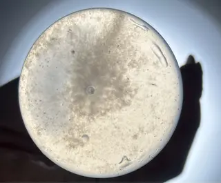 ecrin (エクラン)のネイルデザイン