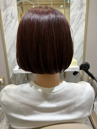 ショート カラー 辻本 夏子のヘアスタイル