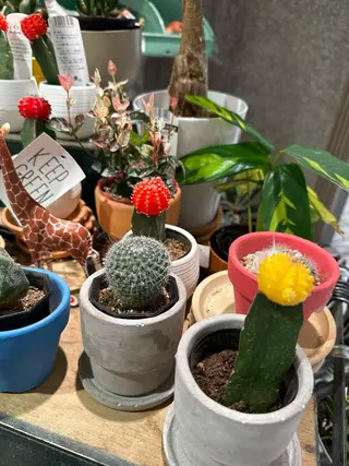 マツエク・マツパ komatsu eyelash恵比寿のマツエク・マツパデザイン