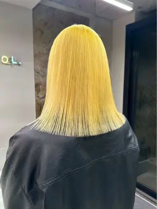 カラー ハイトーンカラー🪽 suzuhoのヘアスタイル