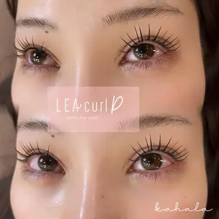 マツエク・マツパ Fujimoto 🦭⸝⋆꙳のマツエク・マツパデザイン