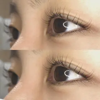 マツエク・マツパ 《eyelash ｉｉｔｅ》森のマツエク・マツパデザイン