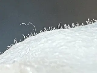 アイラッシュサロン モアナのマツエク・マツパデザイン