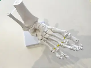 神戸いろは整体院所属・確井 信之のエステ・リラクイメージ