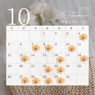 マツエク・マツパ Tani seikaのマツエク・マツパデザイン