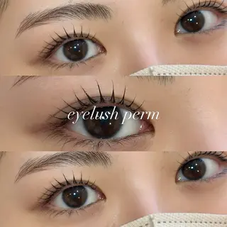 マツエク・マツパ kyoka 🌼の眉毛・アイブロウイメージ