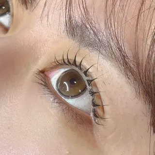 マツエク・マツパ sofa / Akari🏠のマツエク・マツパデザイン