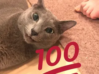 ショート カラー パーマ ヘアアレンジ メンズ キッズ ネイル マツエク・マツパ アニメ,Vオタク× 即効痩せエステサロンのエステ・リラクイメージ