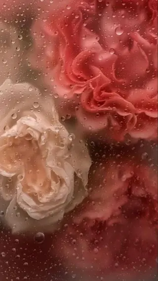 Iwasaki Nene☾店長のマツエク・マツパデザイン