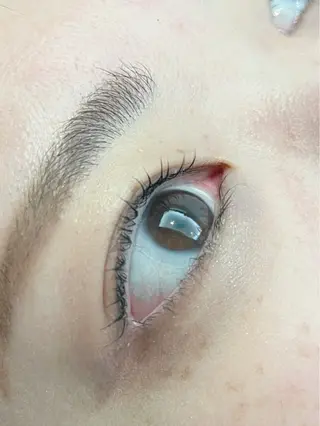 マツエク・マツパ 🐰 坂本 麗 🐰の眉毛・アイブロウイメージ