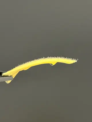 Brillér Aiの眉毛・アイブロウイメージ