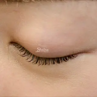 マツエク・マツパ まつげパーマ専門店 シャルナ 船橋店のマツエク・マツパデザイン