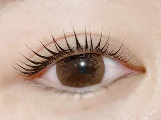 マツエク・マツパ Anela 🦋HARUMIの眉毛・アイブロウイメージ