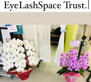 マツエク・マツパ EyeLashSpace Trust.所属・アイラッシュスペース トラスト川越のマツエク・マツパデザイン