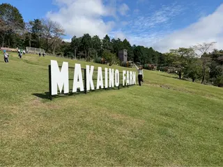 セミロング カラーモデル🪄/ 艶カラー/フミナのヘアスタイル