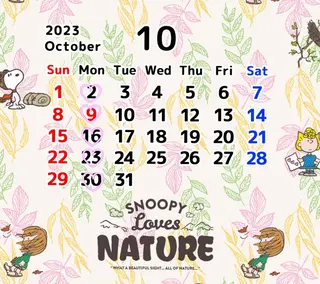 spa hair  ark 富井直美のヘアスタイル