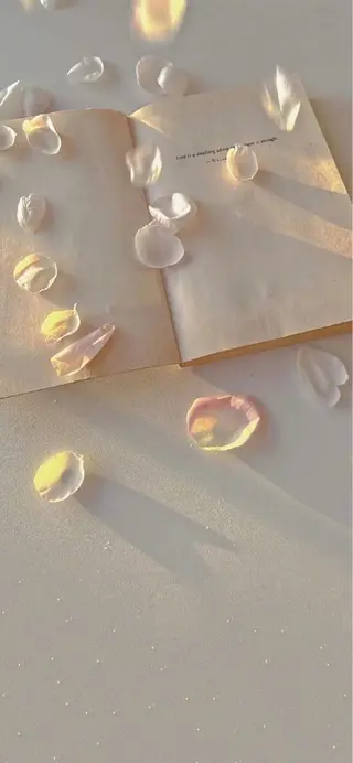 マツエク・マツパ meets 青山のマツエク・マツパデザイン