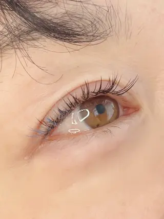 マツエク・マツパ 《eyelash ｉｉｔｅ》森のマツエク・マツパデザイン