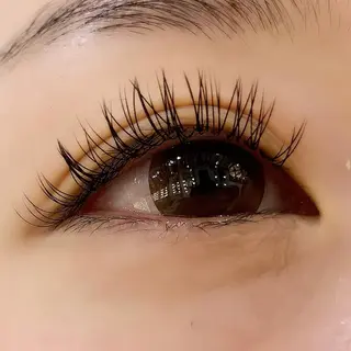 マツエク・マツパ Celeste Venus所属・🧸Celeste Venusのマツエク・マツパデザイン