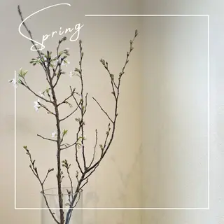 小顔×肌質改善サロン soin〔ソワン〕のエステ・リラクイメージ