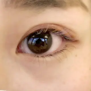 マツエク・マツパ アイブロウワックス モデル募集の眉毛・アイブロウイメージ